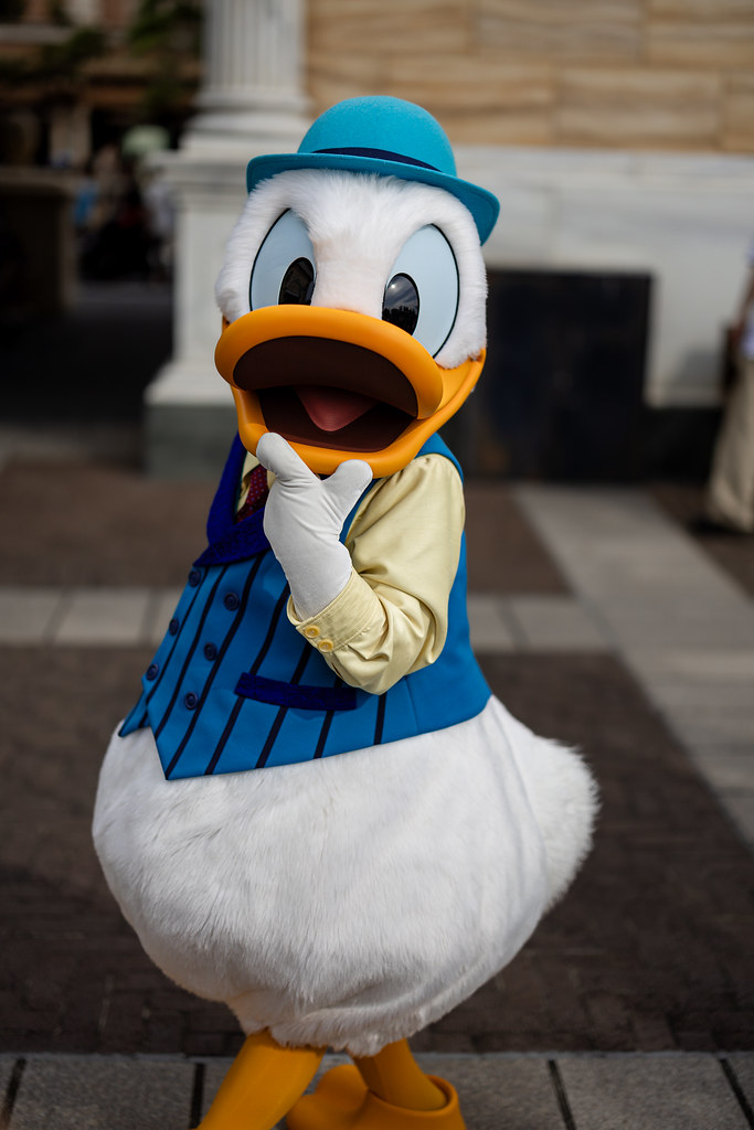 Character's greetings "Donald Duck" -Tokyo Disney Sea 2023 (Urayasu, Chiba, Japan)