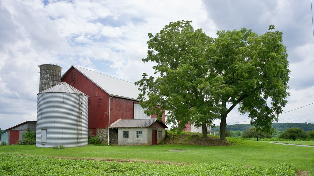 A Farmhouse and a Tree | I was riding back home from PA and … | Flickr