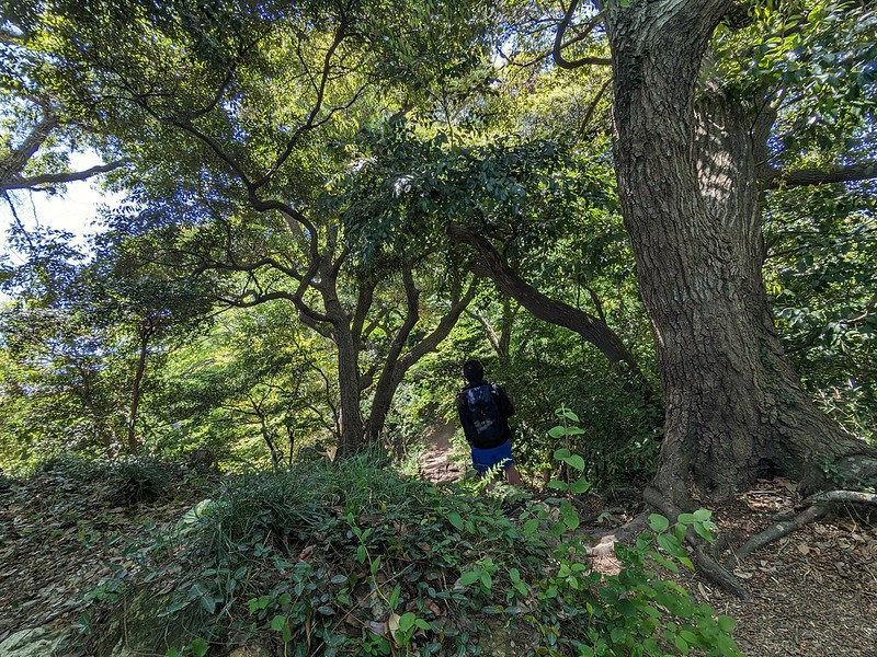 祇園山ハイキングコース