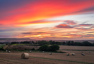 wilmington hill harvest sunset-6