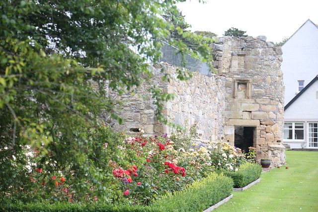 Newmore Castle (2 of 2)
