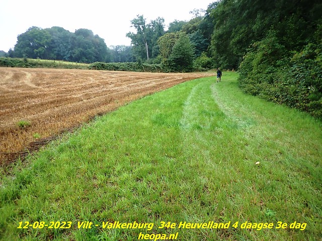 2023-08-12        34e Heuvelland  4 daagse 3e dag  (71)