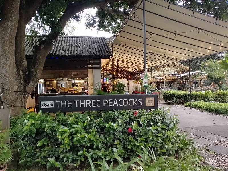 The Three Peacocks at Labrador Park