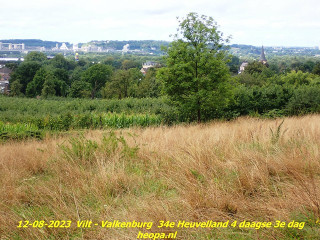 2023-08-12        34e Heuvelland  4 daagse 3e dag  (106)