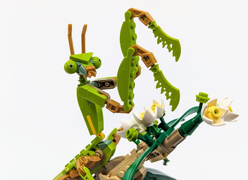 21342: The Insect Collection Ideas Set Review