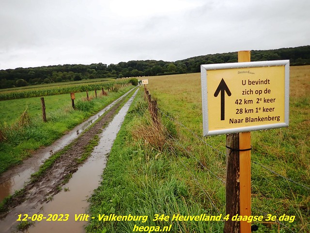 2023-08-12        34e Heuvelland  4 daagse 3e dag  (97)