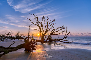 Botany Bay South Carolina - Sunburst