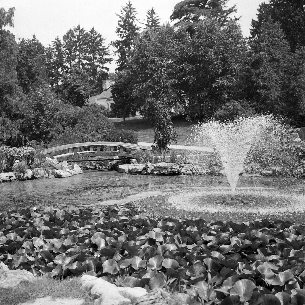 Gairloch Gardens - Rolleiflex 28F - Fomapan 200_009