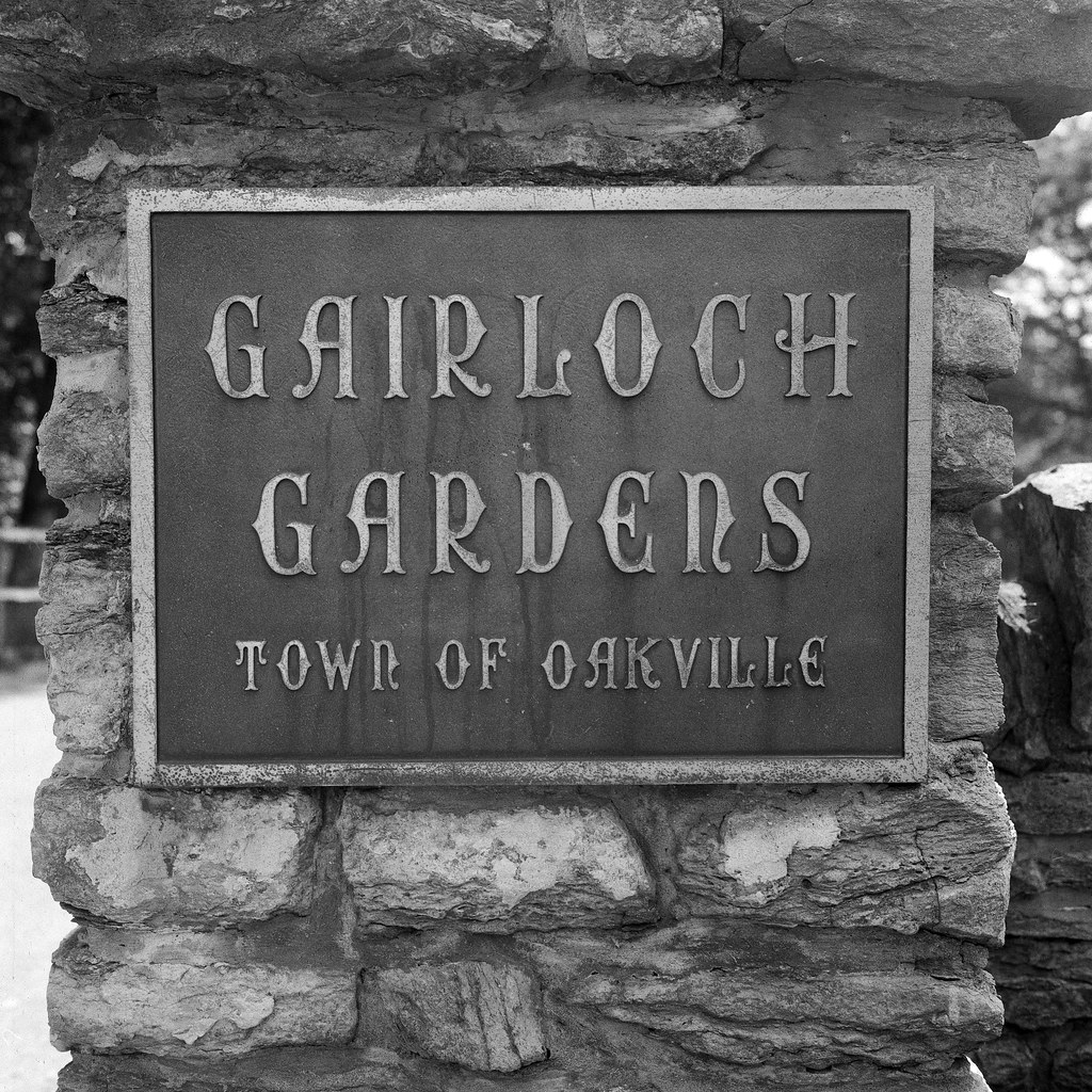Gairloch Gardens - Rolleiflex 28F - Fomapan 200_001