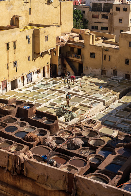 T35150 Fez Tannery 21a