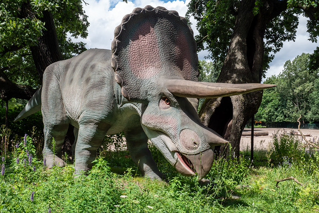 Tierpark Berlin - Berlin Animal Park: Triceratops