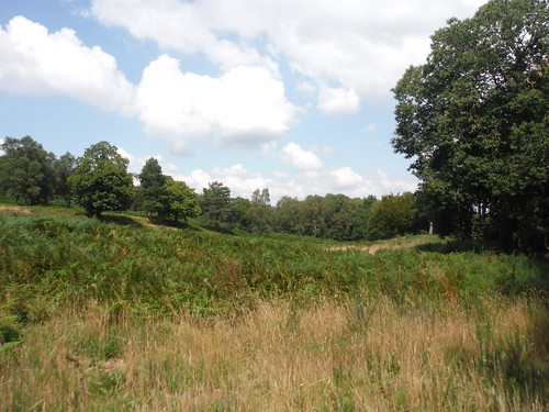 Iron Age hillfort site on Holmbury Hill SWC Walk 147 - Greensand Way Section 3: Gomshall to Dorking