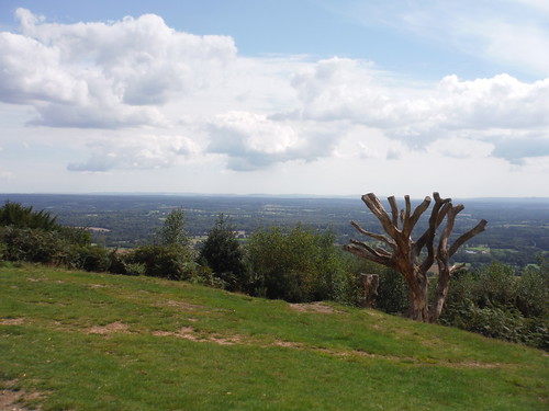 Southerly view from base of Leith Hill Tower SWC Walk 147 - Greensand Way Section 3: Gomshall to Dorking