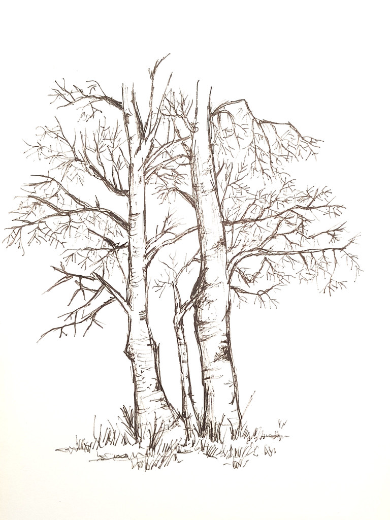 冬季樹木 Winter Tree - Artline Pen ...