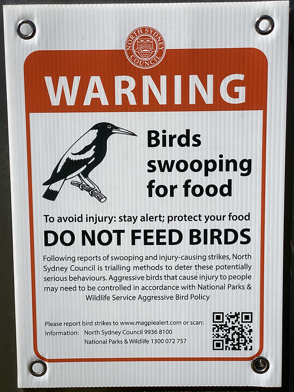 Do not feed birds sign