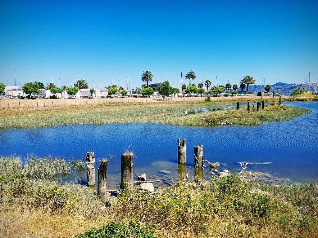 Dunphy Park