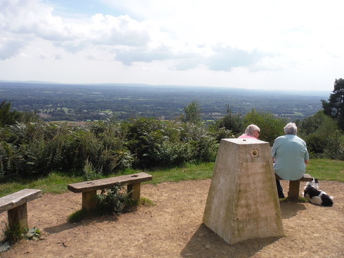 Southwesterly view from base of Leith Hill Tower, past trigpoint SWC Walk 147 - Greensand Way Section 3: Gomshall to Dorking