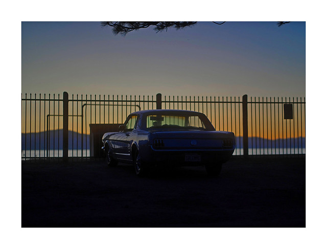 Tahoe Mustang 2