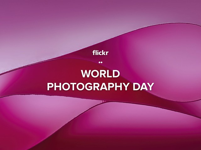 Celebrate World Photography Day 2023!