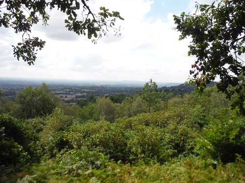 Views from bench just off GW, towards Black Down SWC Walk 147 - Greensand Way Section 3: Gomshall to Dorking
