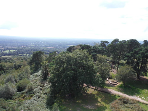 Southwesterly view from Leith Hill Tower SWC Walk 147 - Greensand Way Section 3: Gomshall to Dorking