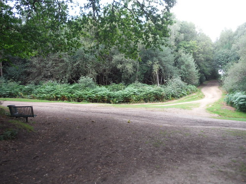 Crosspaths, Somerset Hill, Hurt Wood SWC Walk 147 - Greensand Way Section 3: Gomshall to Dorking