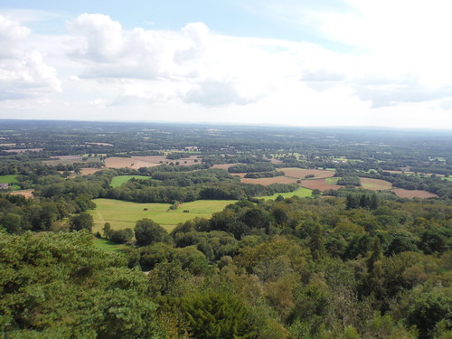Southerly view from Leith Hill Tower SWC Walk 147 - Greensand Way Section 3: Gomshall to Dorking