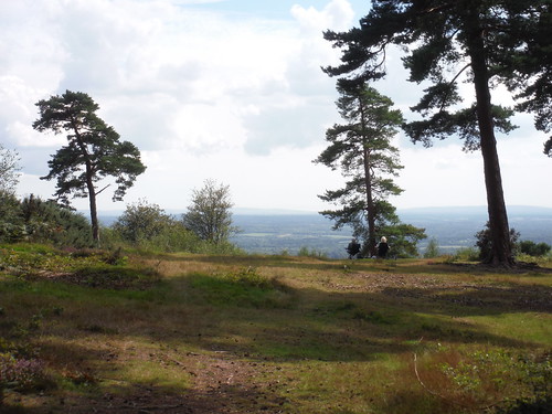 Punters enjoying the view from Leith Hill SWC Walk 147 - Greensand Way Section 3: Gomshall to Dorking