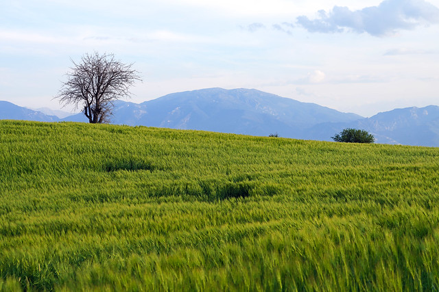 Rural landscape, Pamukkale, Turkey