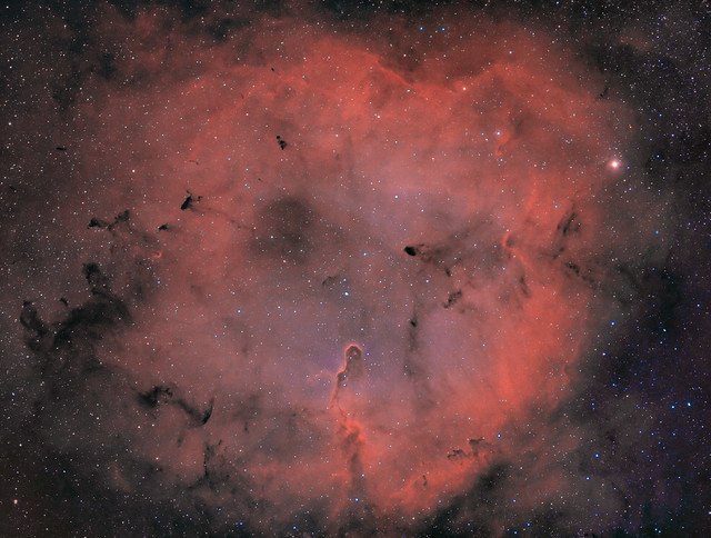 IC 1396, Elephant's Trunk Nebula, in bicolor (Ha/OIII)