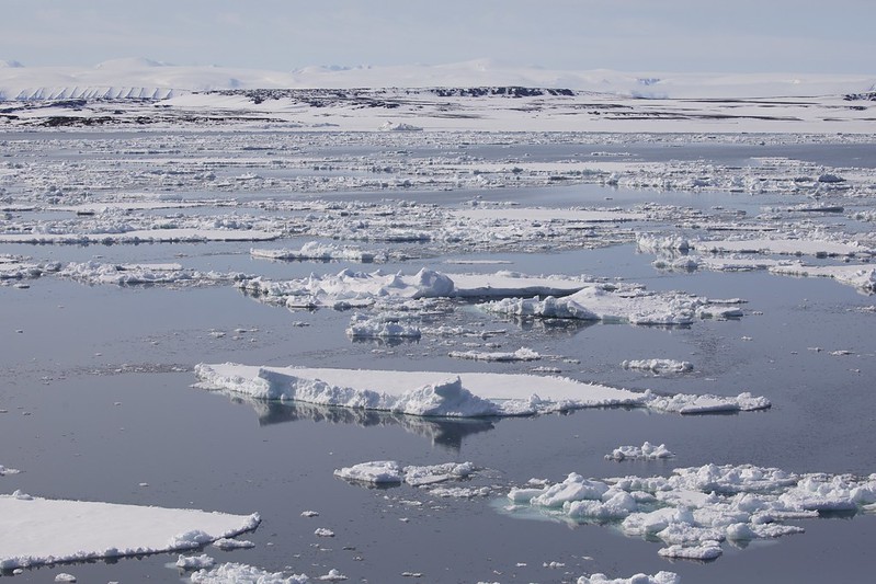 * Frozen ocean_Ascanio_Svalbard_DZ3A0607