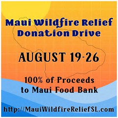 PANIQ @ Maui Wildfire Relief Donation Drive