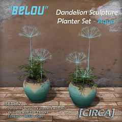 For Secret Sale Wknd | [CIRCA] - "BELOU" Dandelion Sculpture Planter Set - Aqua