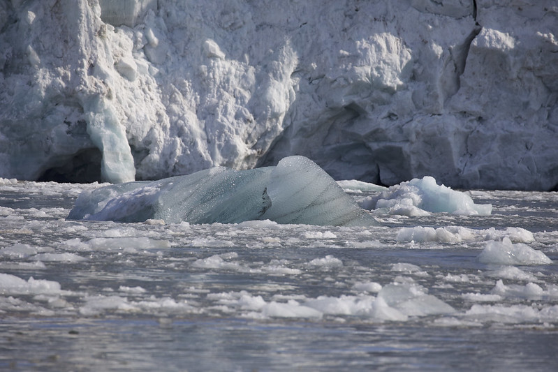 * Ice_Channel entrance_Ascanio_Svalbard_DZ3A0235