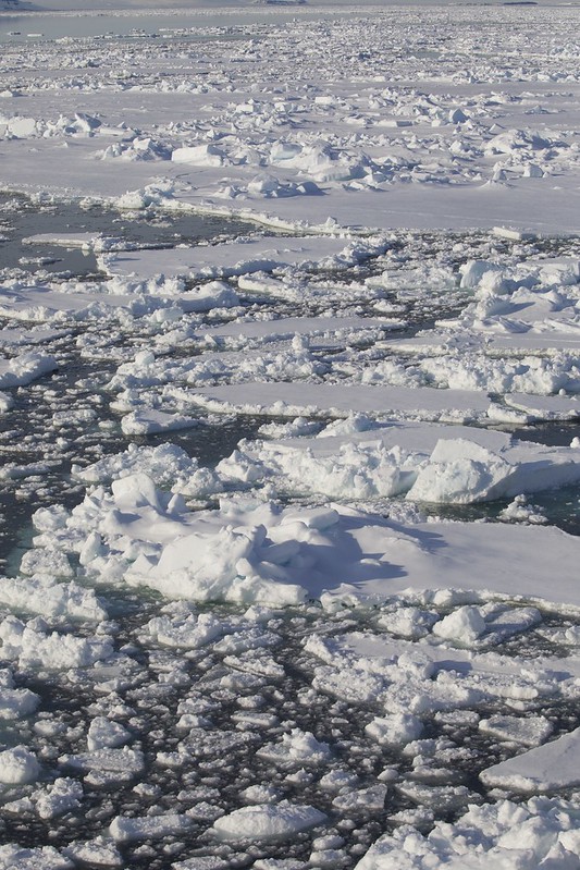 * Frozen ocean_Ascanio_Svalbard_DZ3A0762