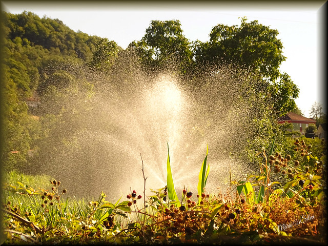 A importância da água para a agricultura