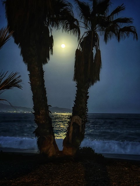 Moonlight on the Beach