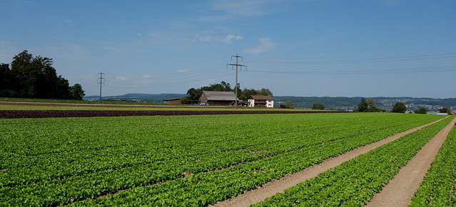 Swiss Farmland