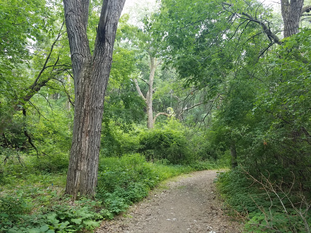 The Hump