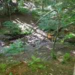 DSCN7956 Lost Creek