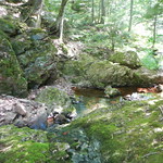 DSCN7962 Lost Creek