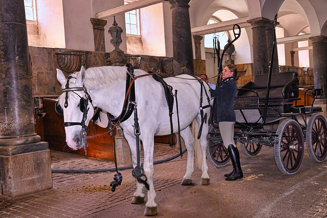 Copenhagen - Christiansborg  - The Royal Stables / Back from a walk