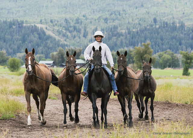 Eat, drink, rest, performance-specific training, and daily exercise makes for world-class polo ponies.