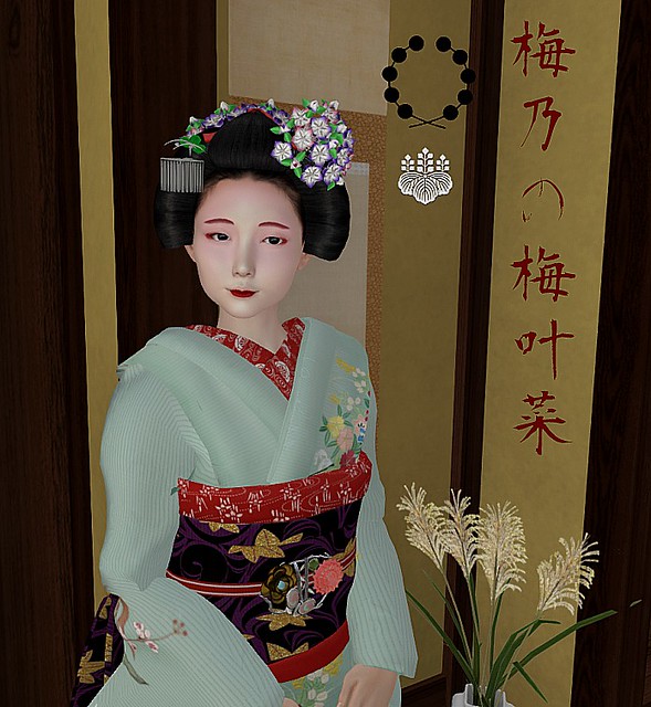 Elegance in Unremitting Steps: Capturing the Maiko's Essence 舞妓さんの真髄