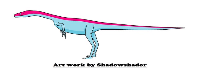 Coelurosaurian dinosaur (†Coelurus fragilis)