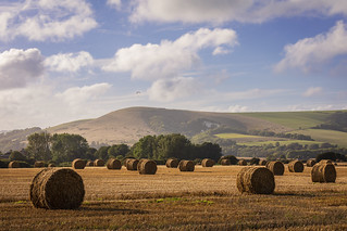 firle harvest south downs east sussex-5