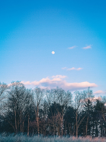 Buffering… by Unflux, The moon tattooed on the sky as I take a moment to deliberate.moon tattoo sky sunset blue hour buffe