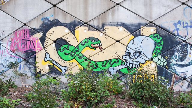 Snake & Skull Graffiti