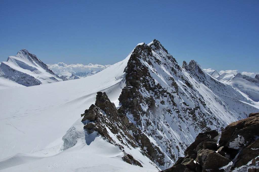 Hinteres Fiescherhorn Berner Alpen / Alpes bernoises Švýcarsko foto 43