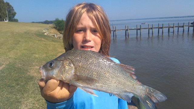 Photo of boy holding a fish at a riverside
